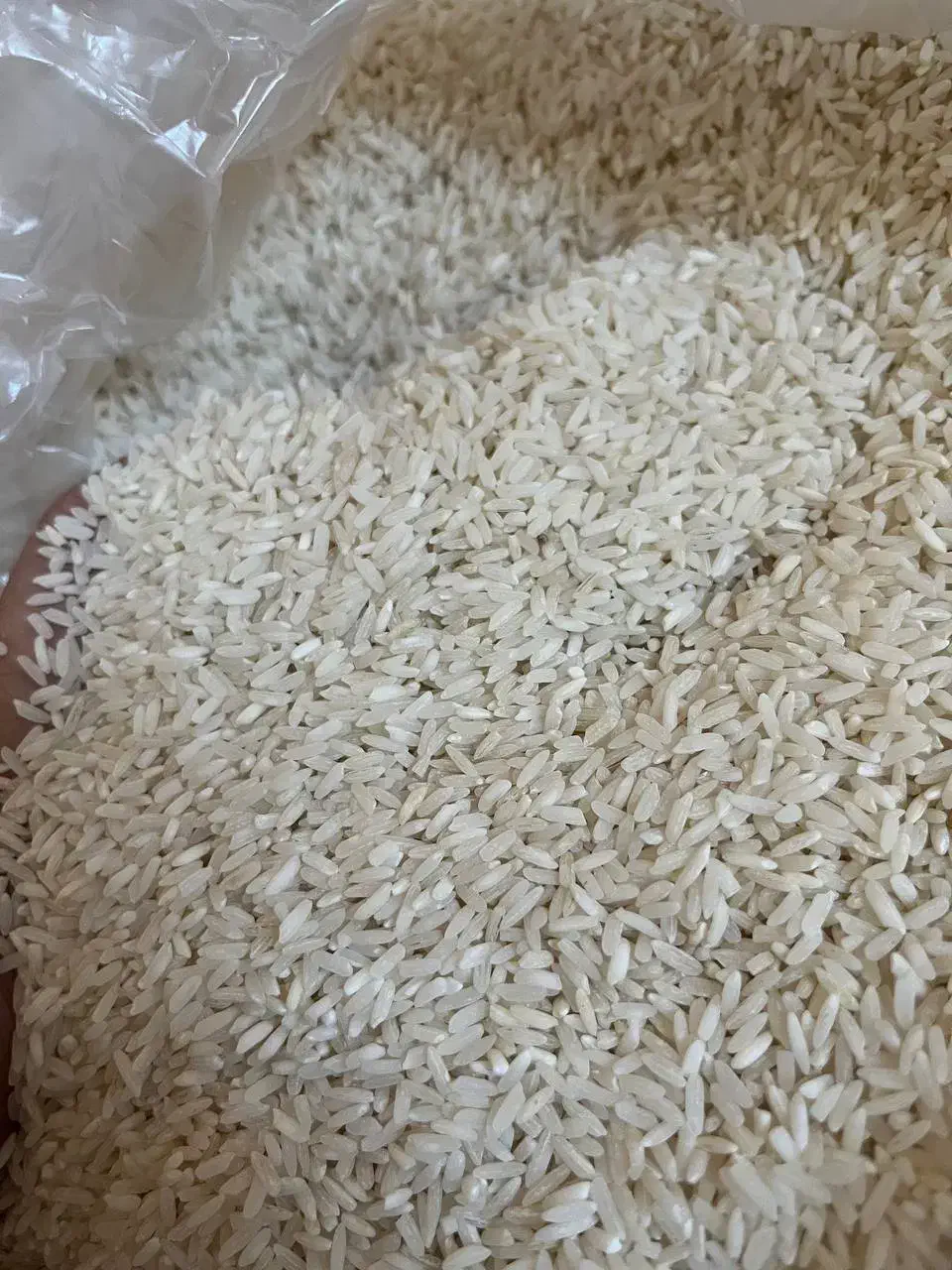 برنج|خوردنی و آشامیدنی|ایلام, |دیوار