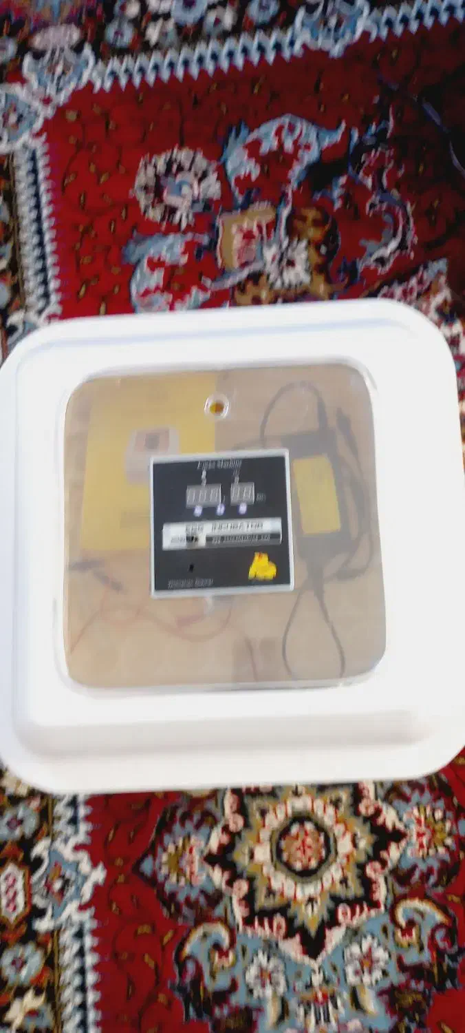 دستگاه جوجه کشی|لوازم جانبی حیوانات|اردبیل, |دیوار