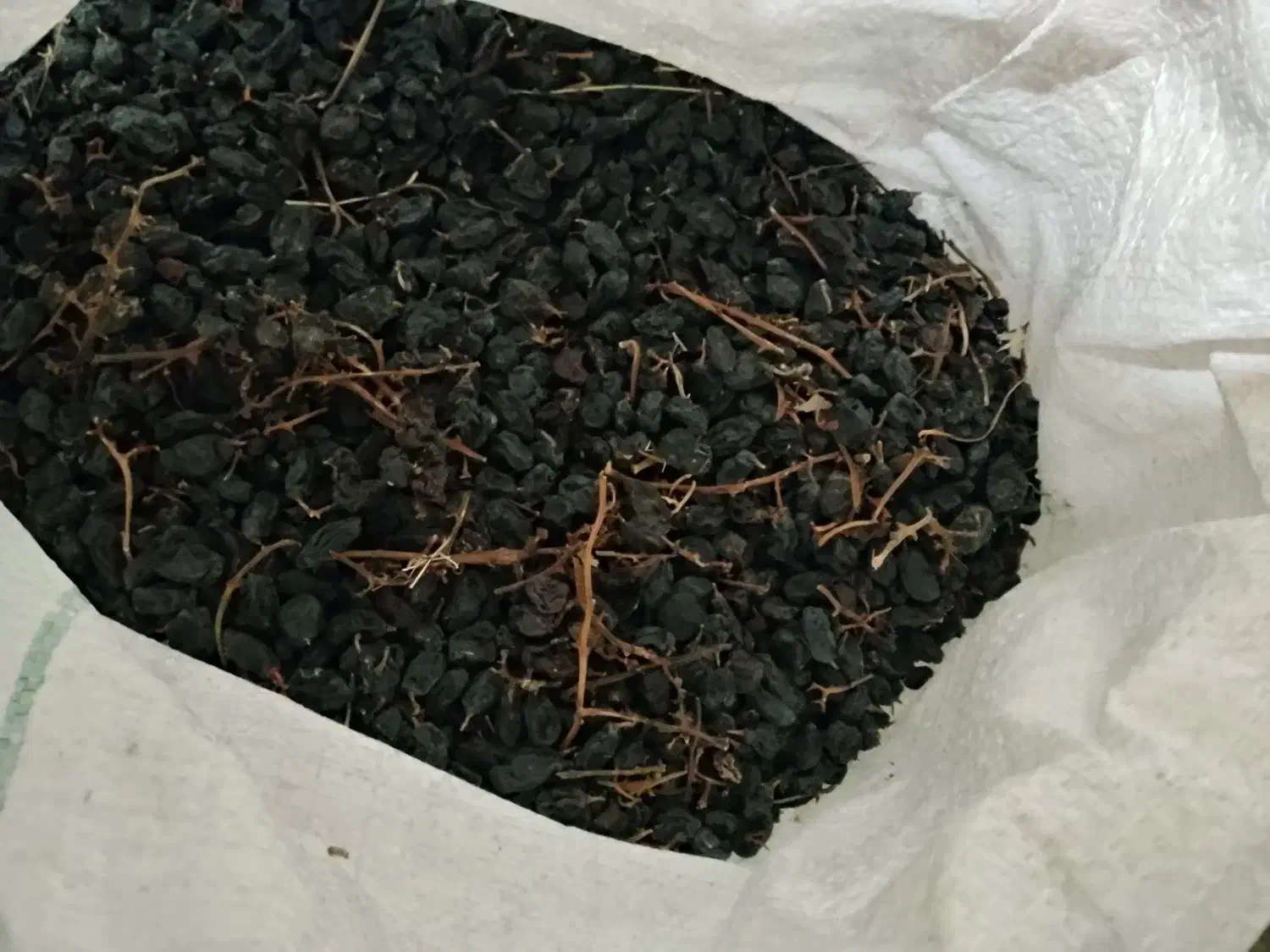 مویز سیاه دشمن زیاری|خوردنی و آشامیدنی|دشمن زیاری, |دیوار