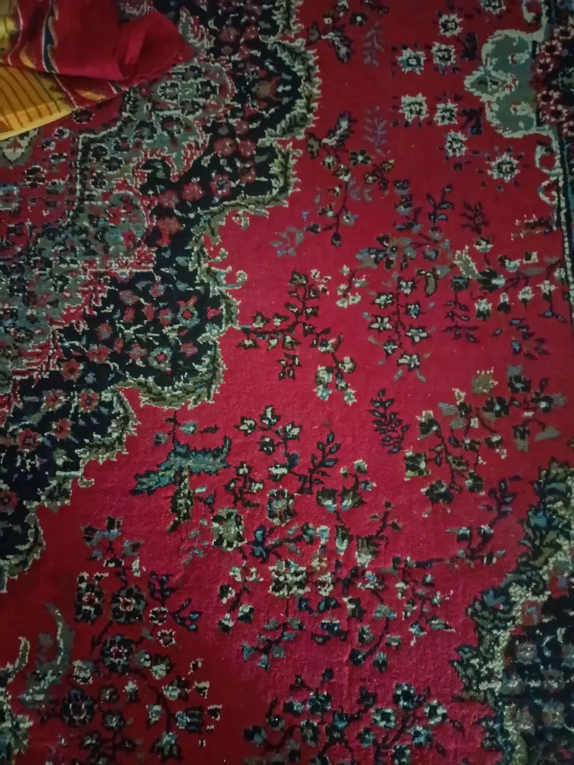 قالی ۹متری و۶متری|فرش|فیروزآباد (فارس), |دیوار