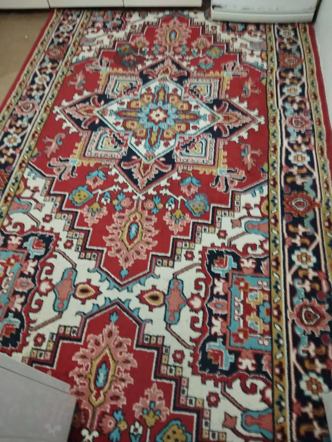 فرش خانه باغ و مغازه|فرش|تبریز, |دیوار