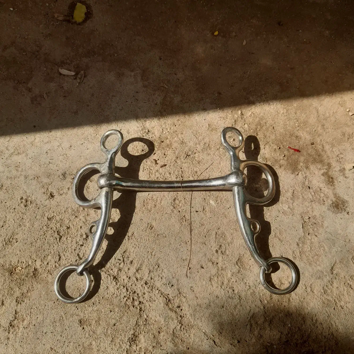 دهنه اسب|اسب و تجهیزات اسبسواری|ریگان, |دیوار