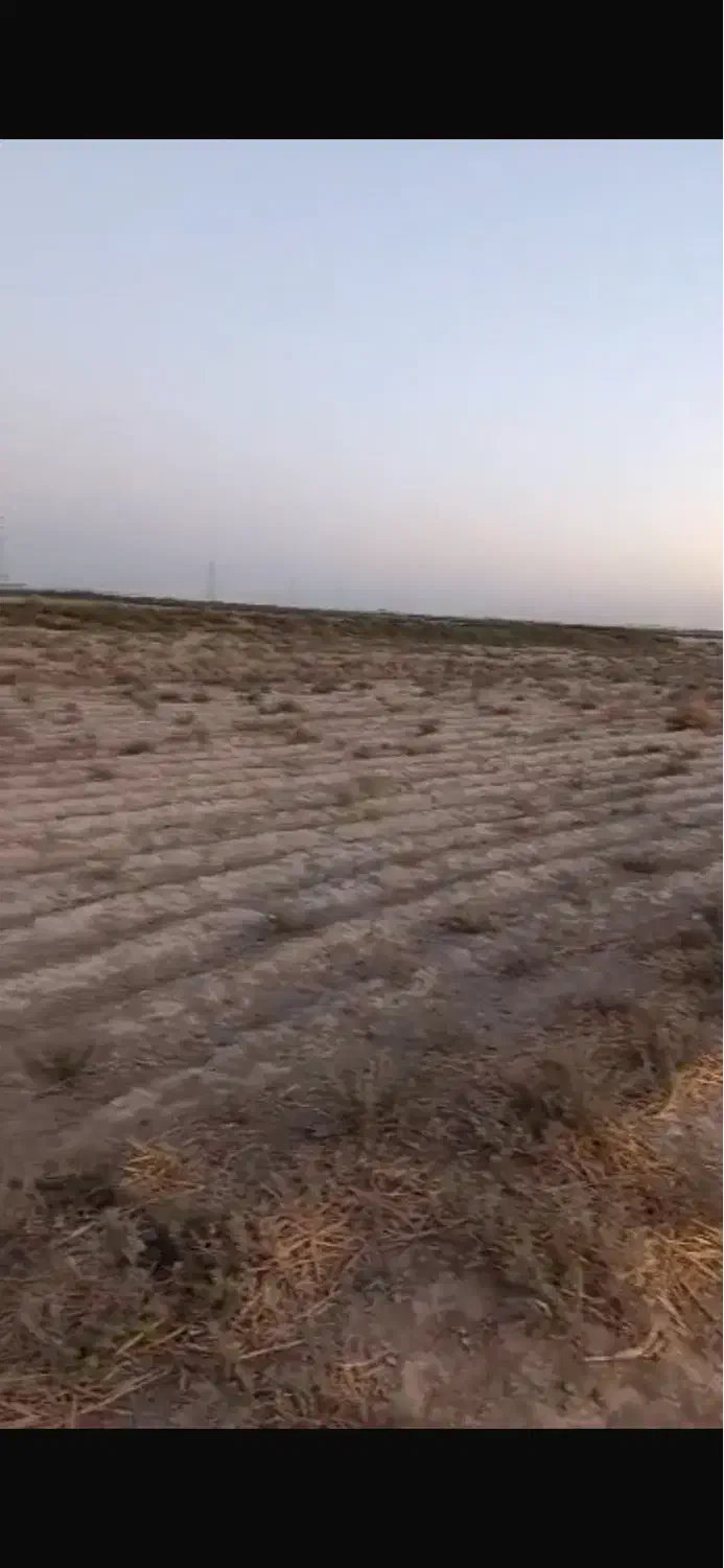 زمین کشاورزی گلخانه ای باغی|فروش زمین و ملک کلنگی|ورامین, ورامین|دیوار