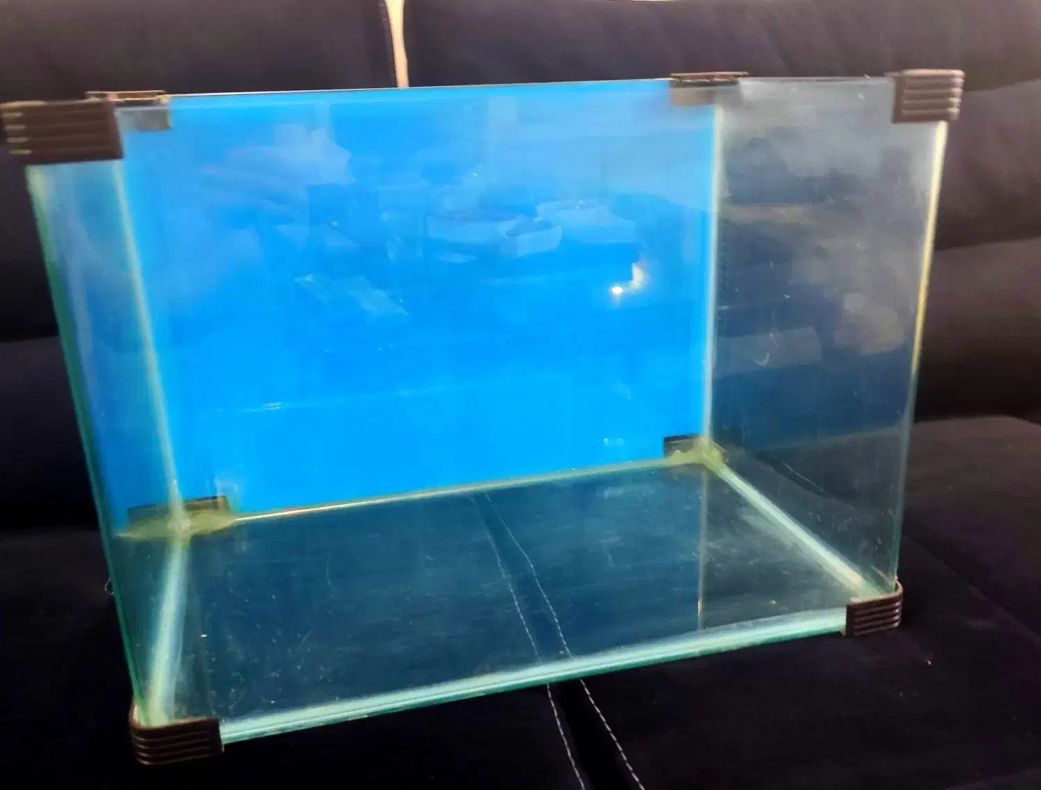 آکواریوم ضخیم شرکتی|ماهی|فردیس, شهرک سپاه|دیوار