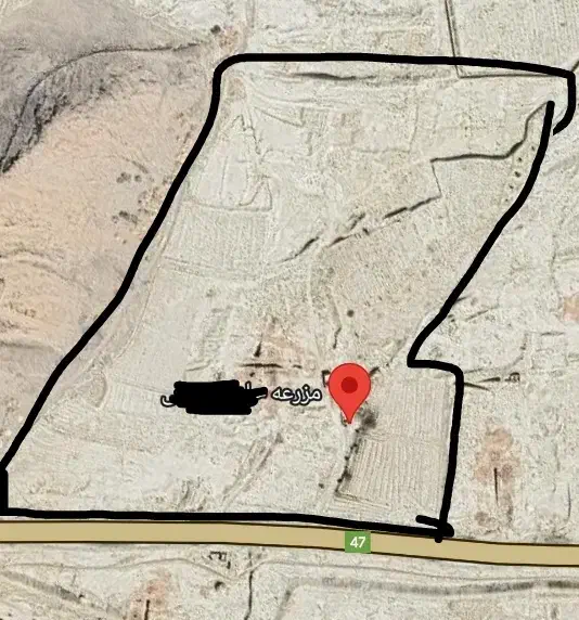 زمین کشاورزی|فروش زمین و ملک کلنگی|دهق, |دیوار