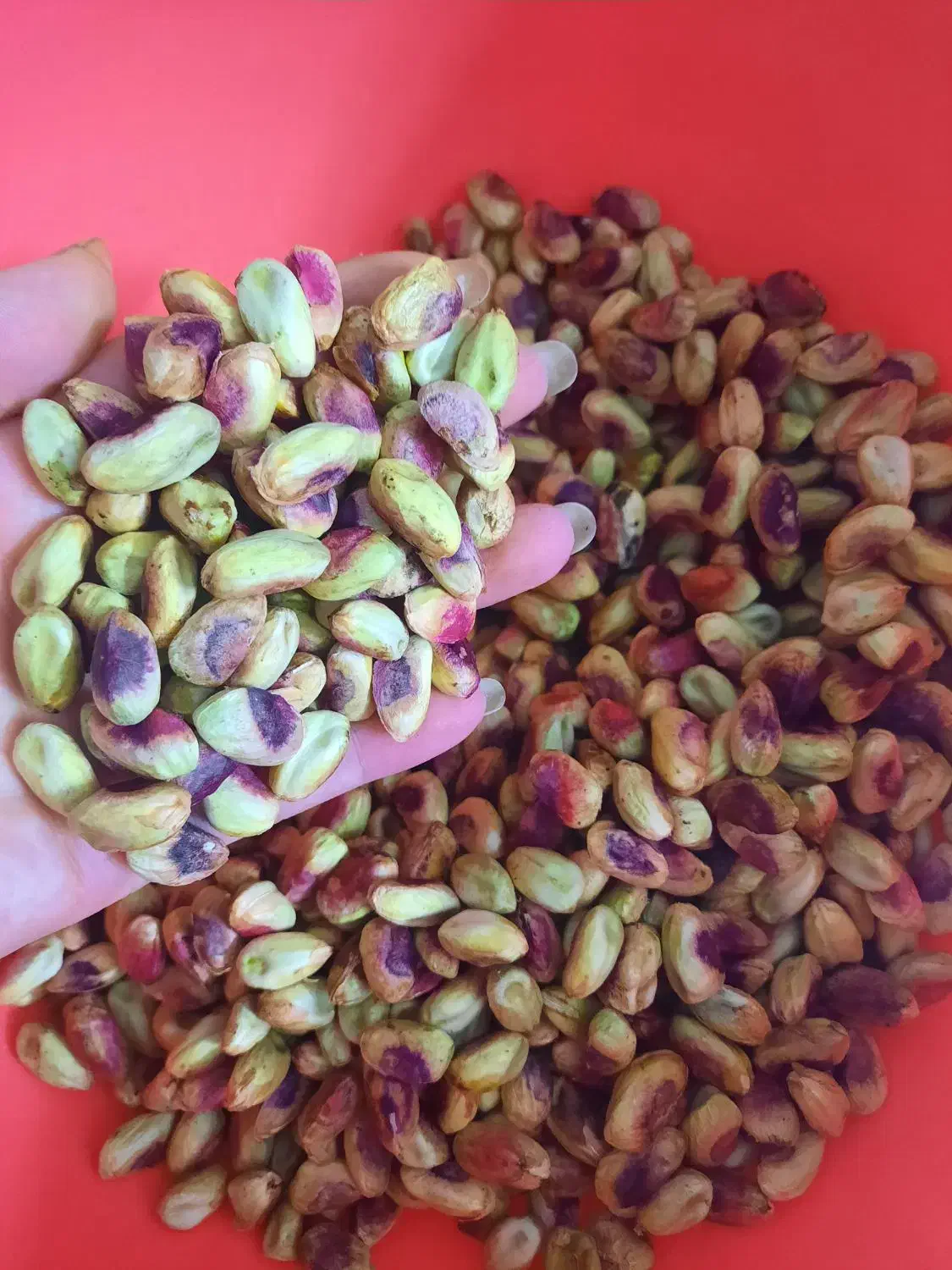 فروش خلال پسته خانگی و خلال بادام اصل|خوردنی و آشامیدنی|لاهیجان, حزین|دیوار