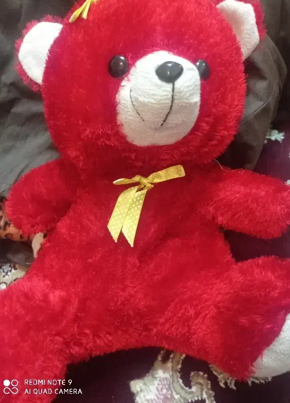 عروسک|اسباب‌‌بازی|رشت, تازه آباد|دیوار