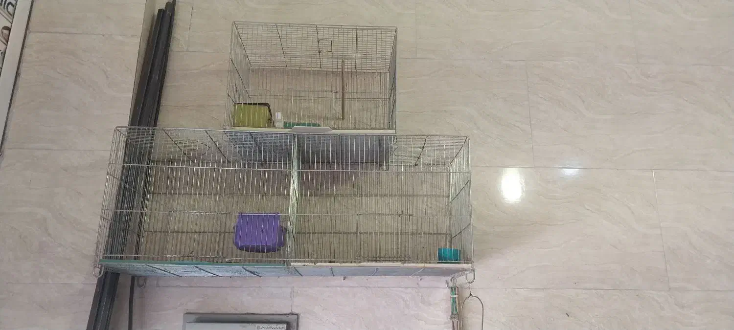 قفس پرون و معمولی تمیز در حد نو|لوازم جانبی حیوانات|فولادشهر, سایت صنعتی کاوه|دیوار