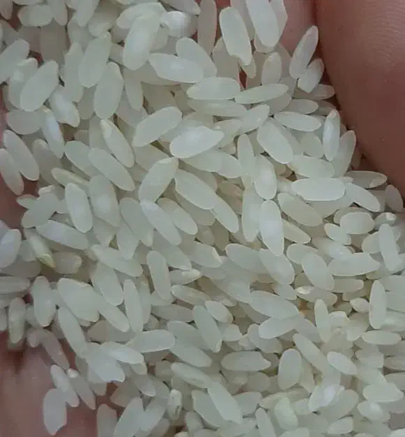 برنج کامفیروزی درجه یک تحویل درب منزل|خوردنی و آشامیدنی|شیراز, میانرود|دیوار
