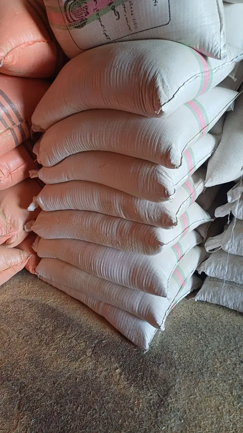 خوراک دام و آسیاب|عمدهفروشی|مشهد, خلق آباد سفلی|دیوار