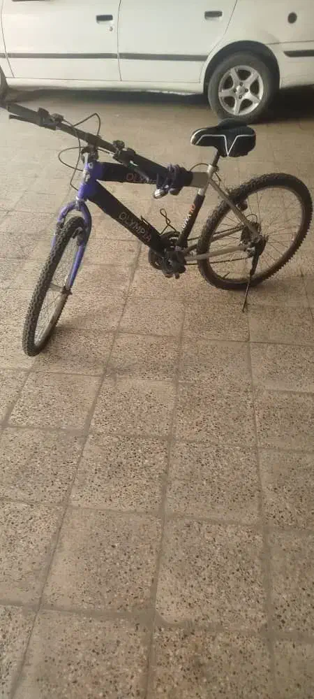 دوچرخه ۲۴|دوچرخه، اسکیت، اسکوتر|شاهین‌شهر, خانه کارگر|دیوار