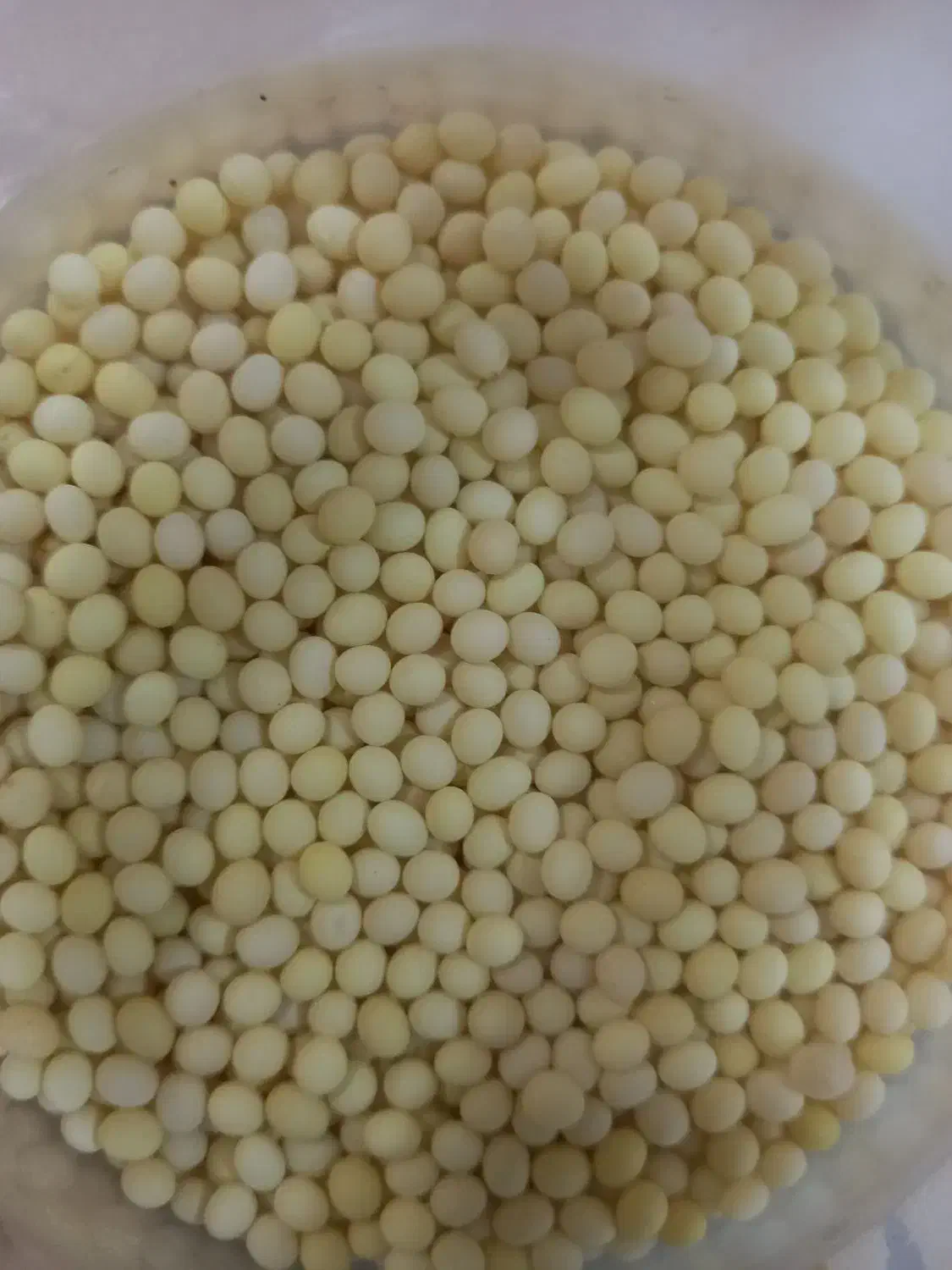 خاویار حلزون|آرایشی، بهداشتی، درمانی|سبزوار, جوادیه شرقی|دیوار