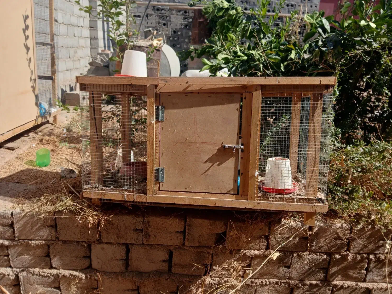 قفس چوبی کوچک|لوازم جانبی حیوانات|بافق, |دیوار