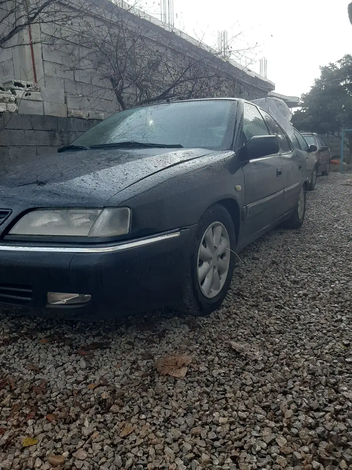 زانتیا ۸۱ نقد و اقساط|خودرو سواری و وانت|اسالم, |دیوار