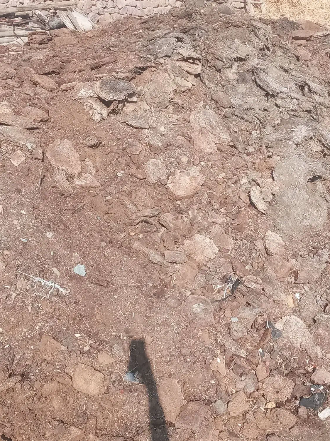 پهن گوسفند|حیوانات مزرعه|انزل, |دیوار