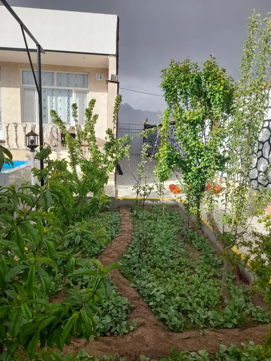 اجاره ویلا باغ|اجارهٔ کوتاهمدت ویلا و باغ|یزد, |دیوار