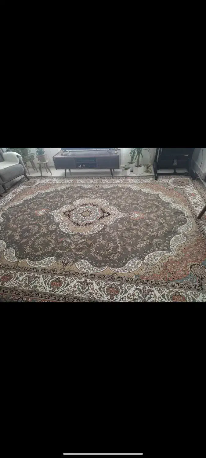 قالی ۱۲ متری در حد نو|فرش|بیرجند, |دیوار