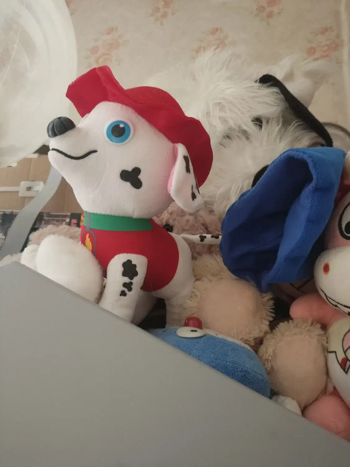 عروسک پلیشی نو|اسباببازی بچه|ری, دیلمان|دیوار