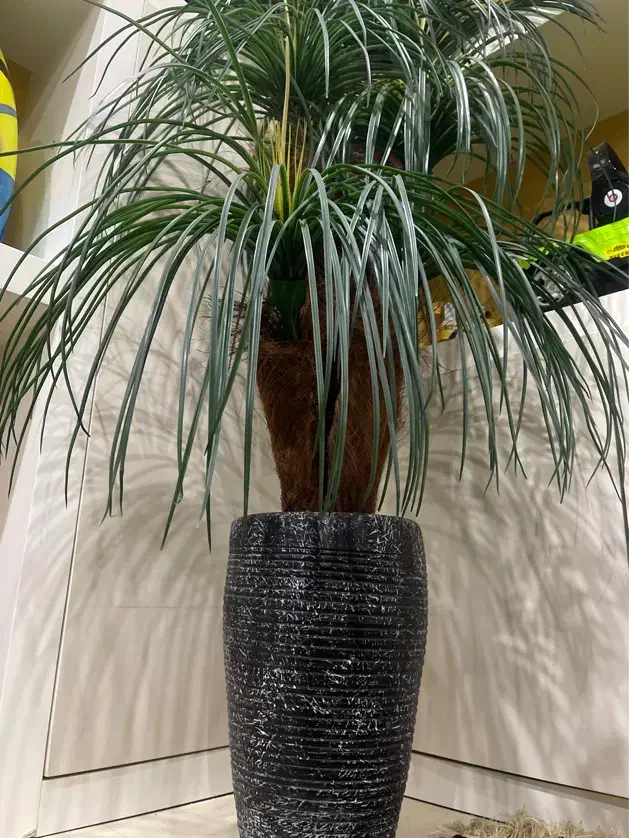 گیاه سبز مصنوعی با گلدان|گل مصنوعی|تهران, صادقیه|دیوار