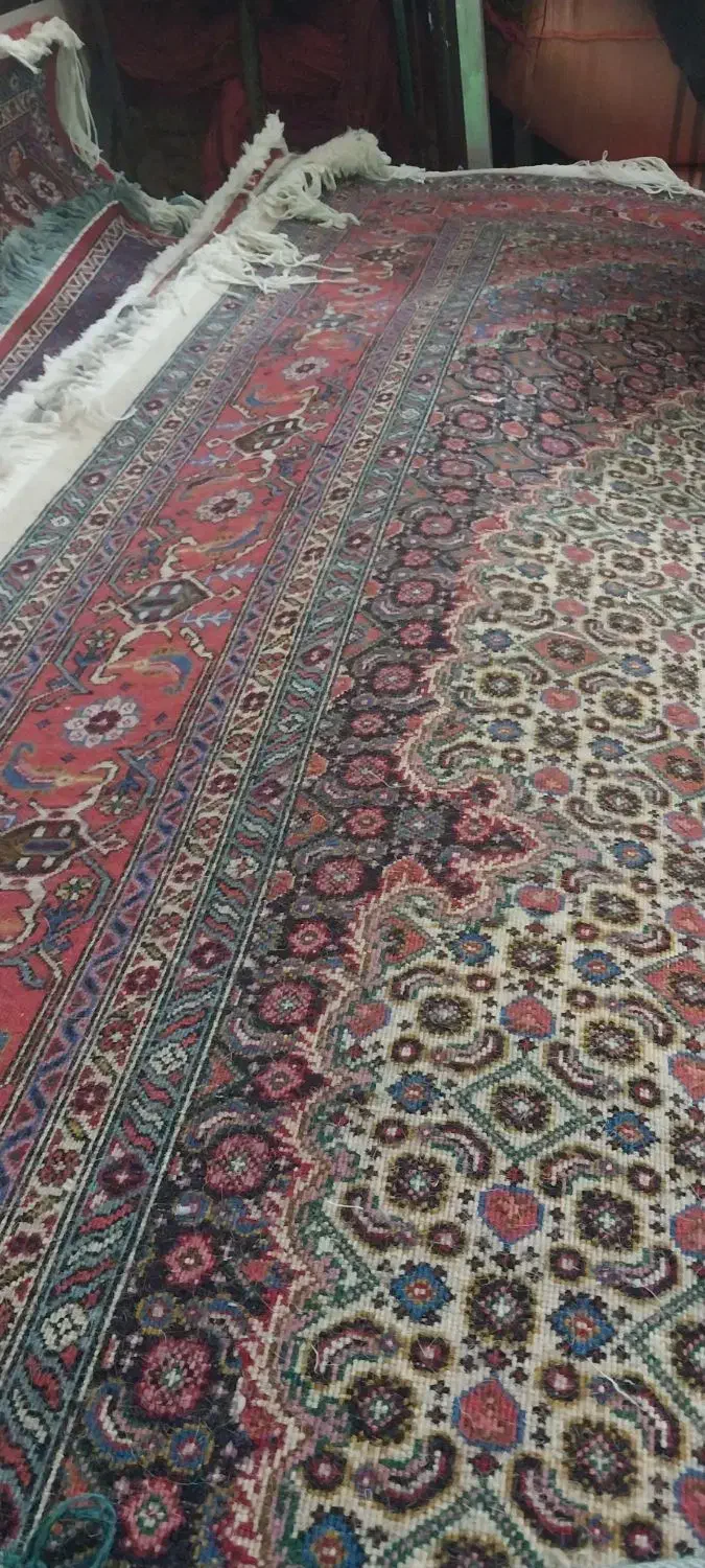 انواع فرش دست بافت|فرش|اردبیل, |دیوار