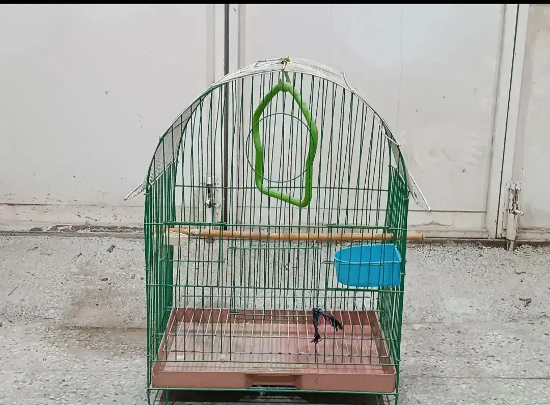 6 عدد قفس تمیز و کلبه های بزرگ|لوازم جانبی حیوانات|بندر امام خمینی, |دیوار