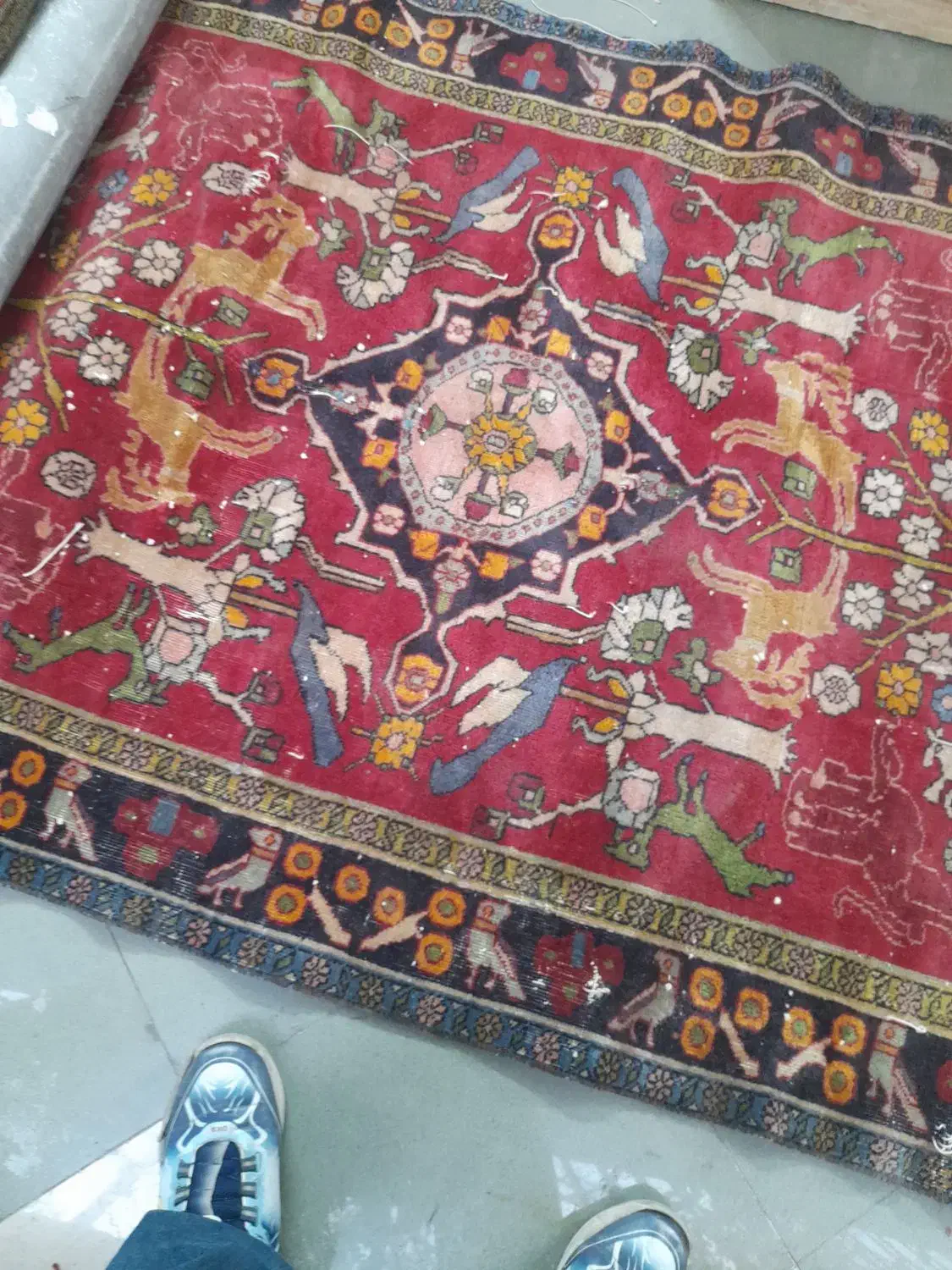 فرش دست بافت. تمام پشم. عالی.|فرش|تهران, چهارصد دستگاه|دیوار