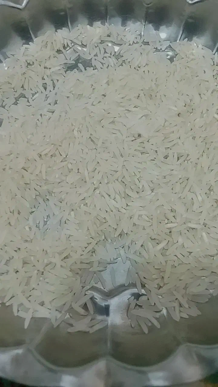 برنج فجر سوزنی|خوردنی و آشامیدنی|سنگدوین, |دیوار