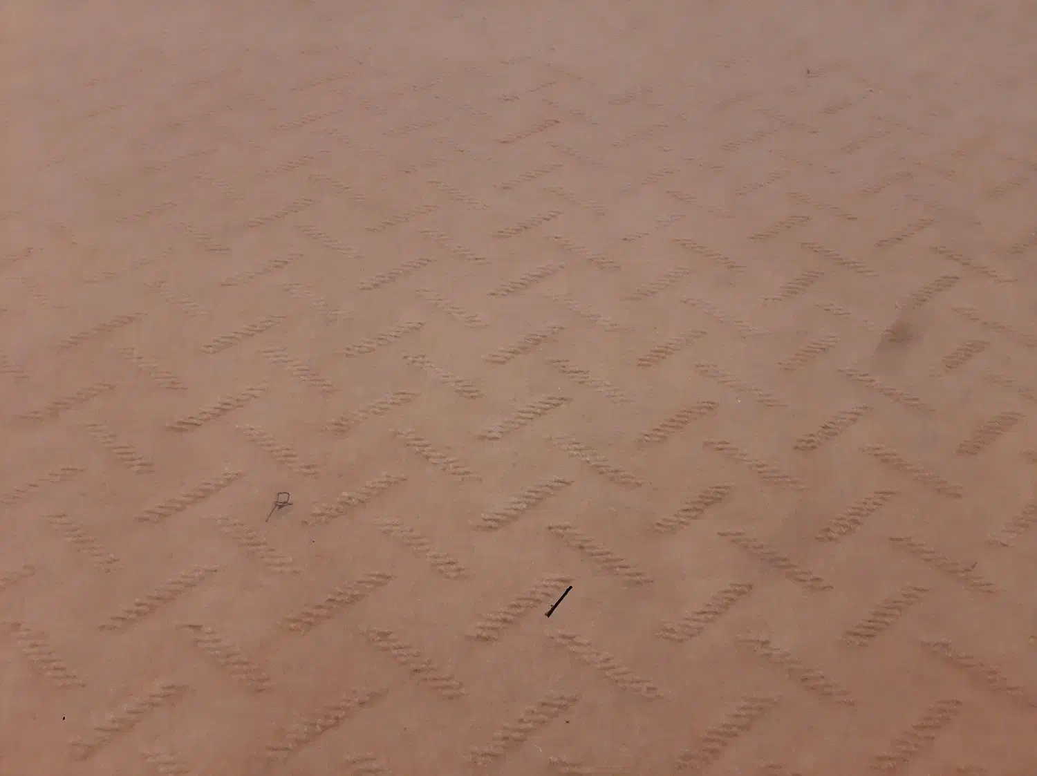 دو عدد موکت|موکت|بجنورد, |دیوار