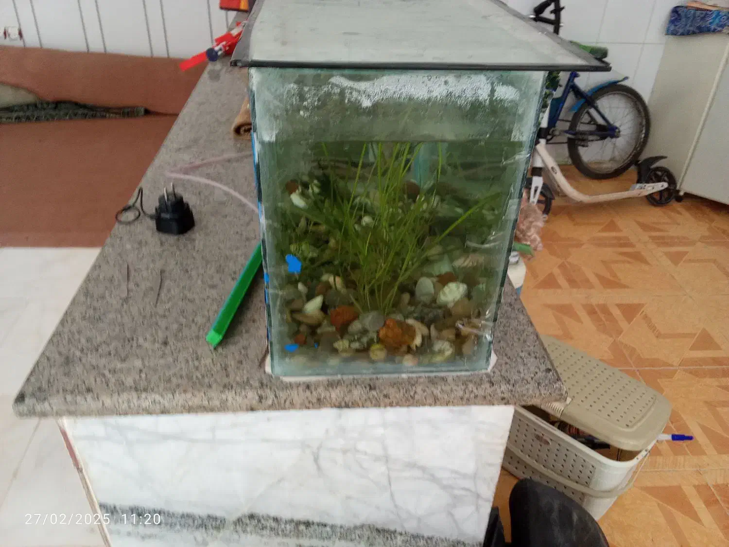 آکواریوم|ماهی|فلاورجان, |دیوار