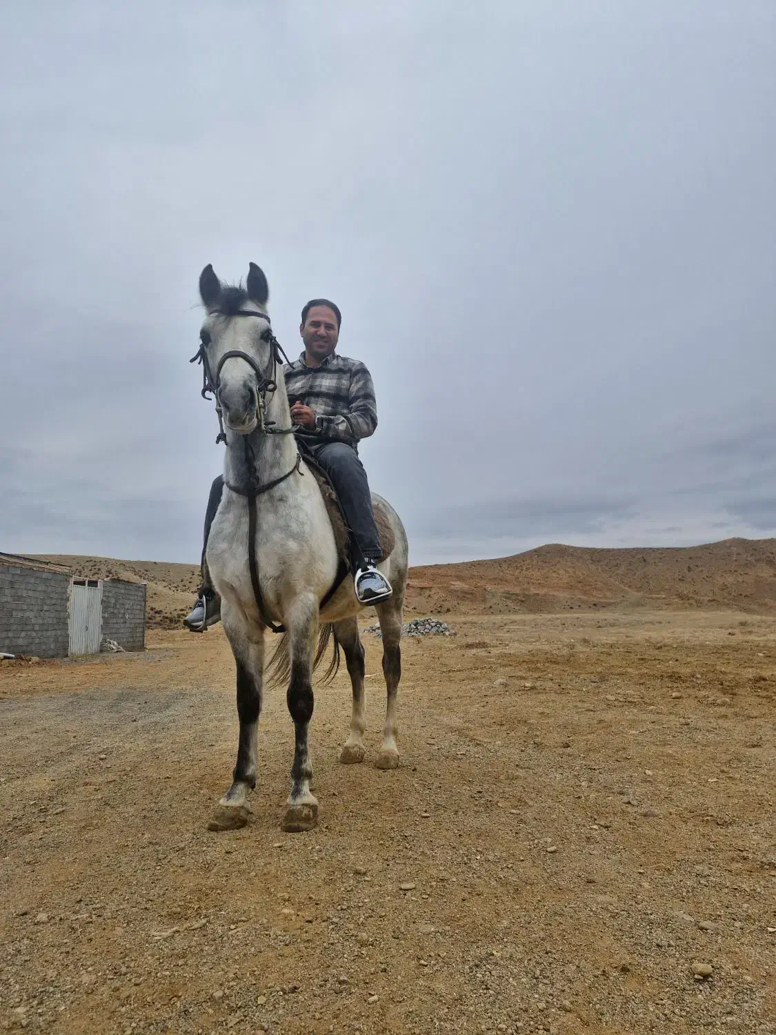 گاوداری|استخدام صنعتی، فنی، مهندسی|میاندوآب, |دیوار