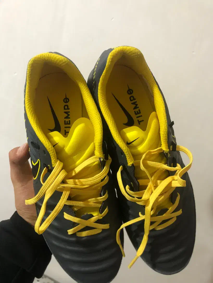 نایک تمپو ایکس اورجینال اکبند|کیف، کفش، کمربند|فردیس, منظریه|دیوار