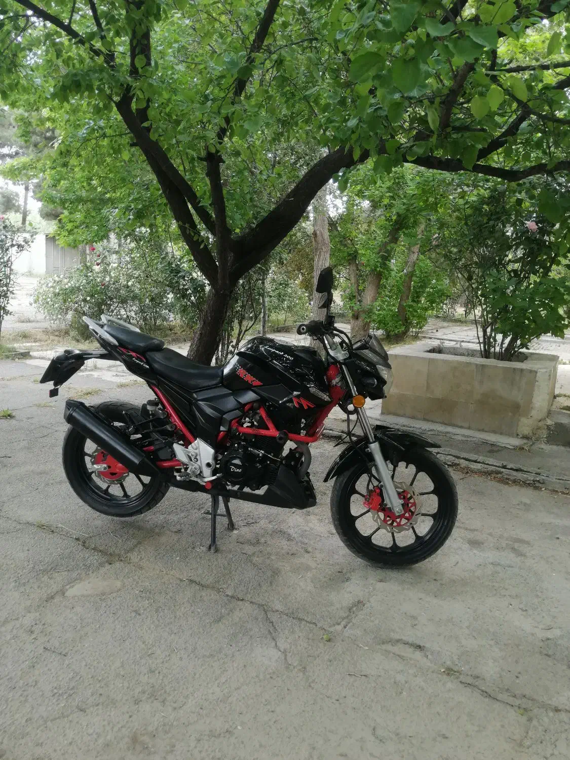 موتور سیکلت اقساط و نقد|موتورسیکلت|کرمانشاه, |دیوار