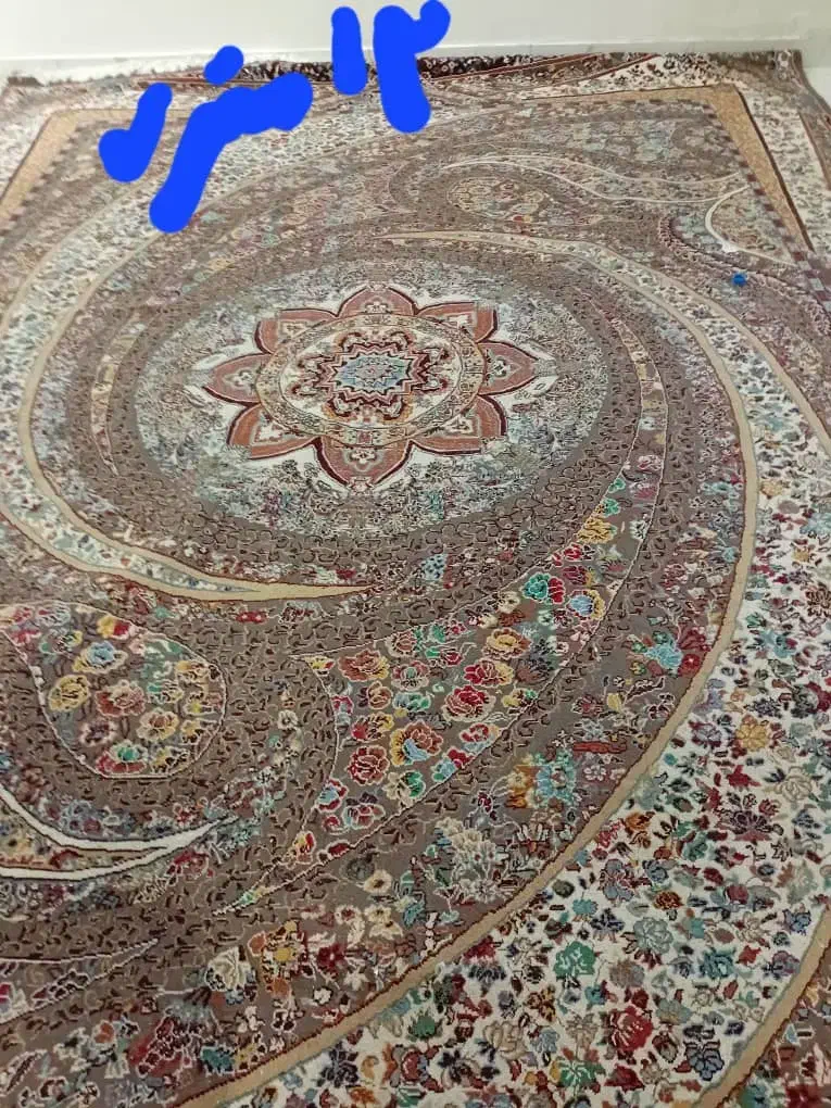 فرش۱۲متریو۹متری قیمت مناس|فرش|باوی, |دیوار