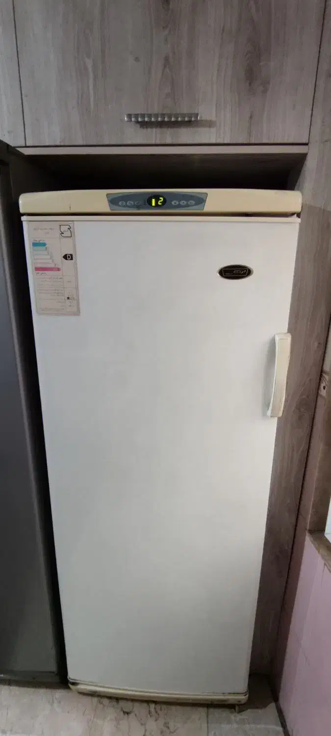 دو عدد یخچال و فریزر|یخچال و فریزر|تهران, دولاب|دیوار