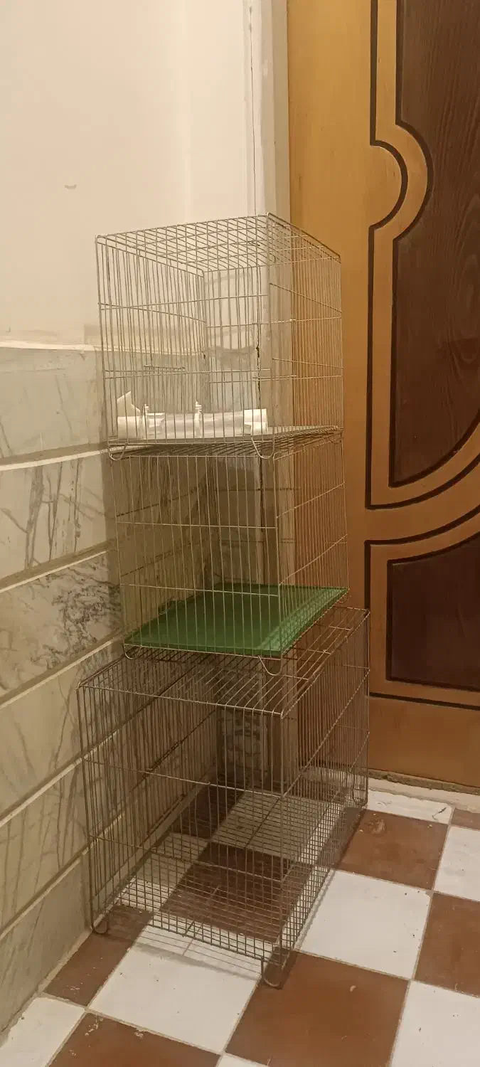 قفس|لوازم جانبی حیوانات|شهرضا, |دیوار
