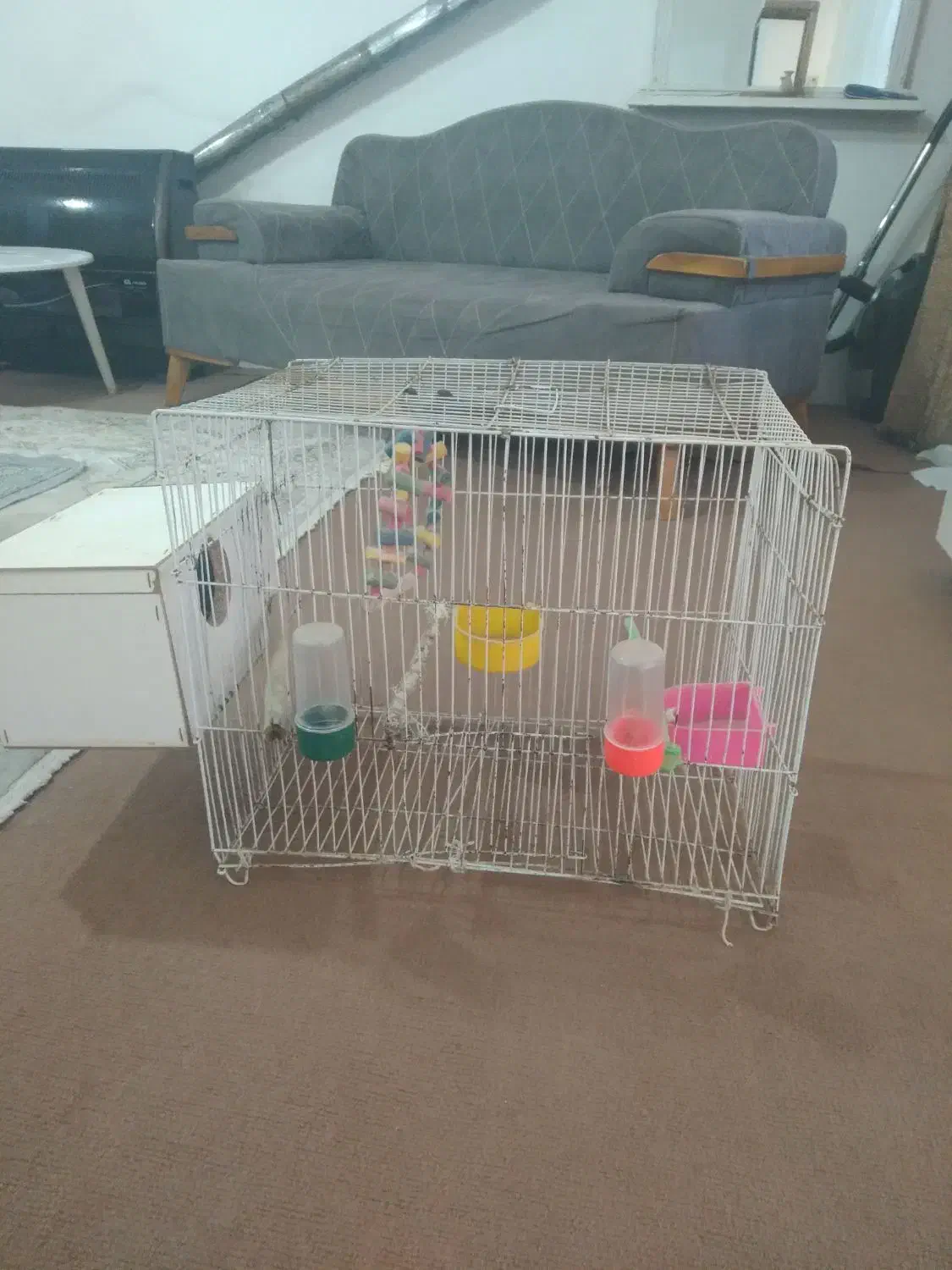 قفس پرنده بزرگ با لونه اش ۳۰۰همش باهم|لوازم جانبی حیوانات|مشهد, انقلاب|دیوار