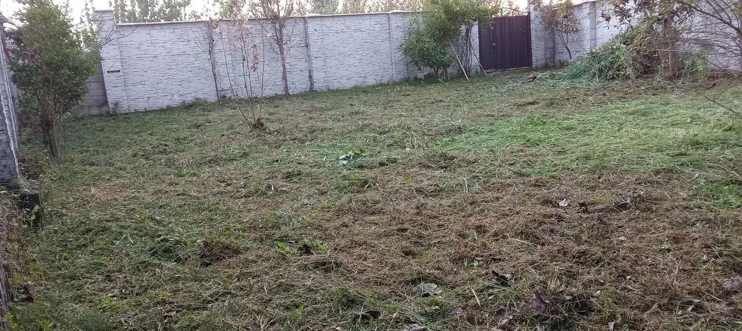 علف زنی و هرس کردن درختان با دستگاه|خدمات باغبانی و درختکاری|رشت, حومه رشت|دیوار