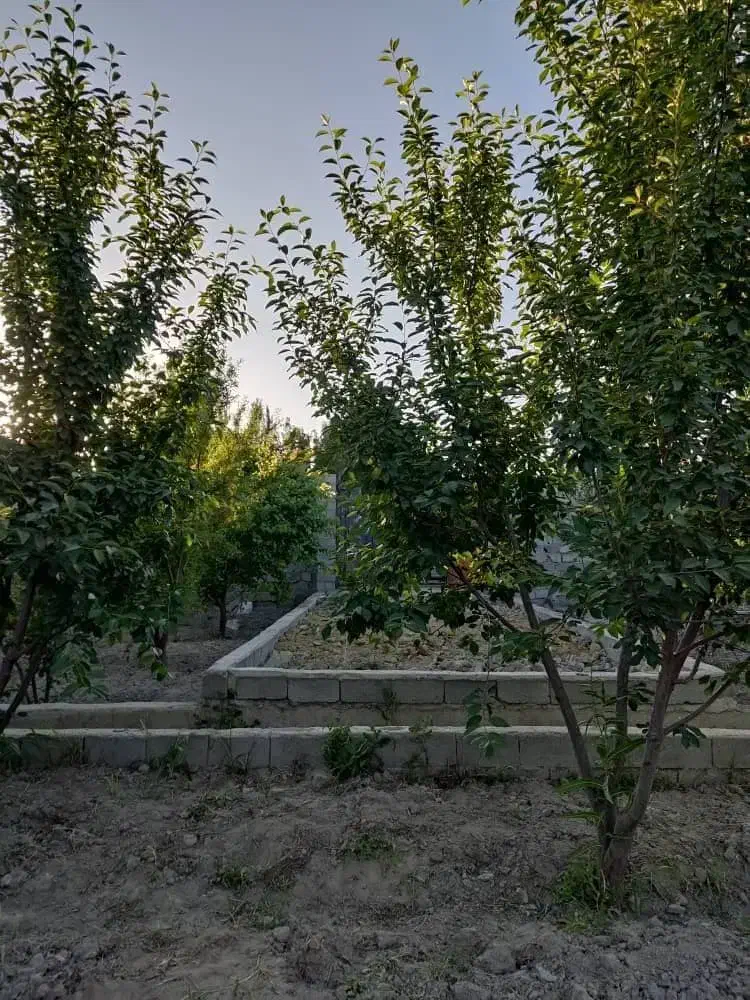 ۳۸۰مترباغ ویلاکاسبی*بحر۱۷م*زیرقیمت*پول لازم شهریار|فروش خانه و ویلا|تهران, یافت آباد جنوبی|دیوار