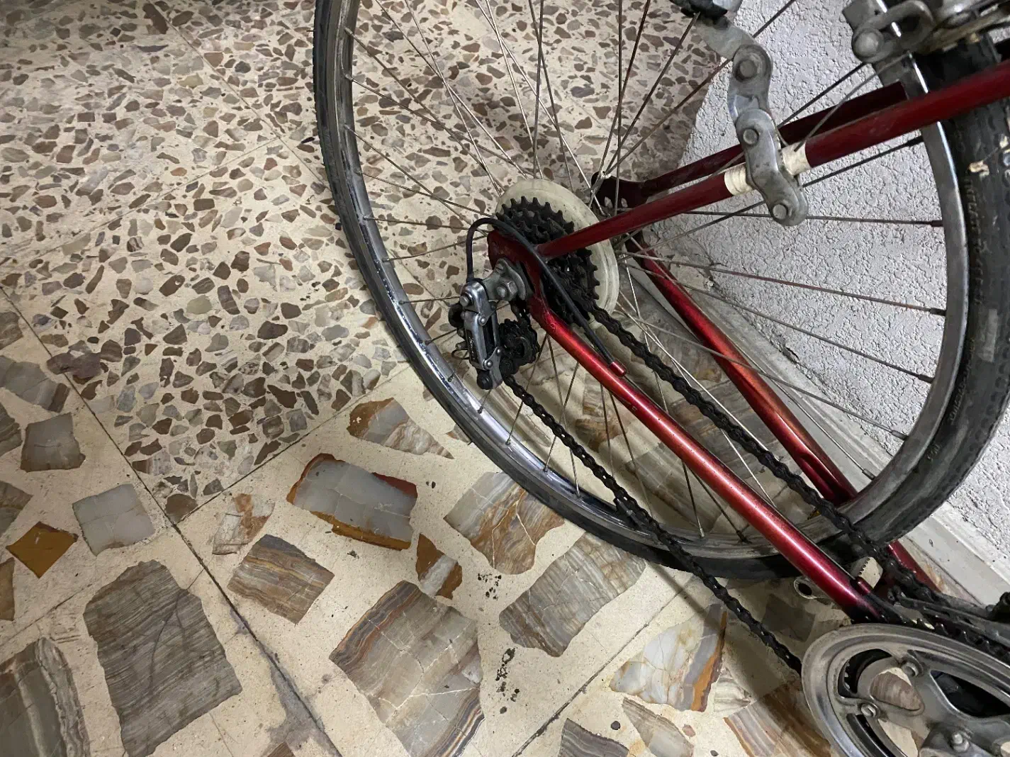 دوچرخه کورسی|دوچرخه، اسکیت، اسکوتر|رشت, بلوار گیلان|دیوار