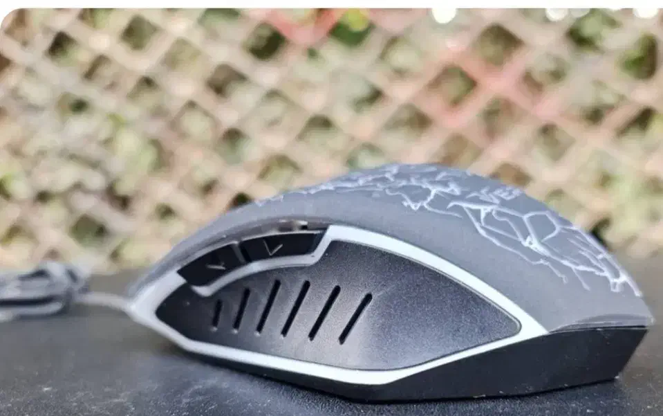 موس وریتی|قطعات و لوازم جانبی رایانه|ارومیه, |دیوار