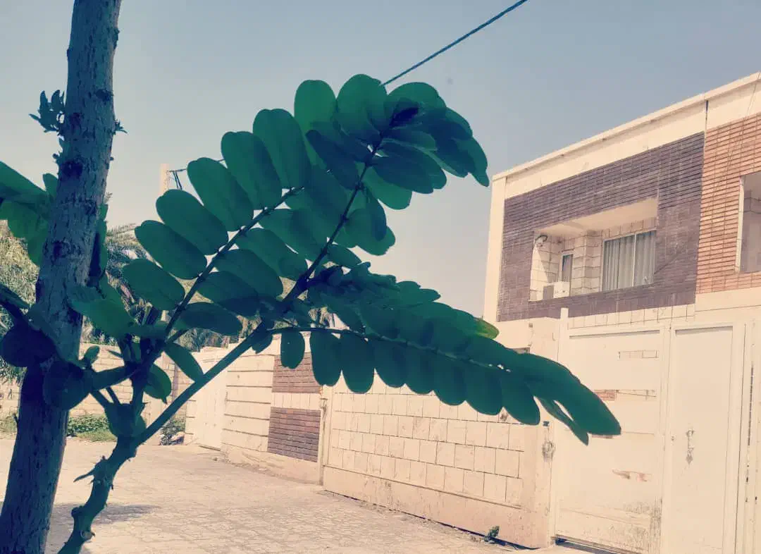 منزل ویلایی تریبلکس|فروش خانه و ویلا|جیرفت, |دیوار