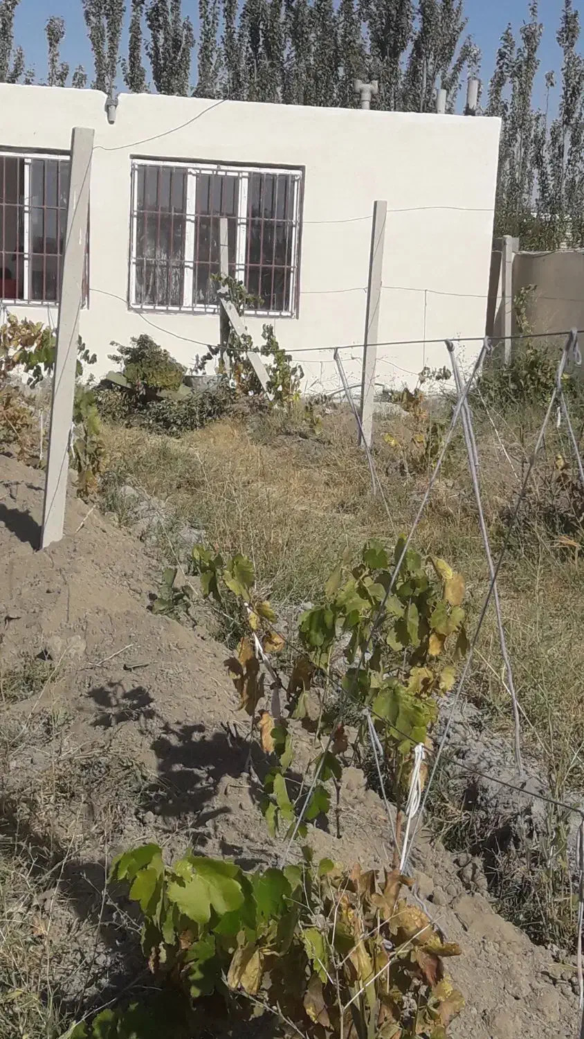 سیمان کاری ونرمه وتگری با بهترین کیفیت|خدمات پیشه و مهارت|ارومیه, |دیوار