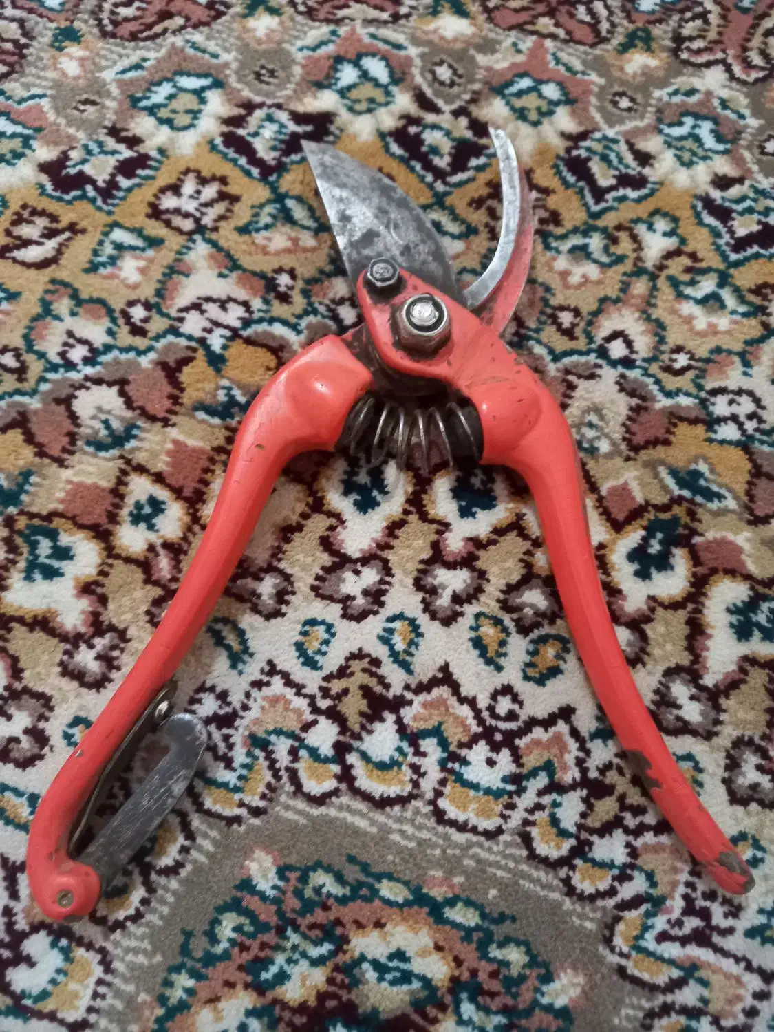 پیک نیک|اجاق گاز و لوازم برقی پخت‌وپز|شیروان (خراسان), |دیوار