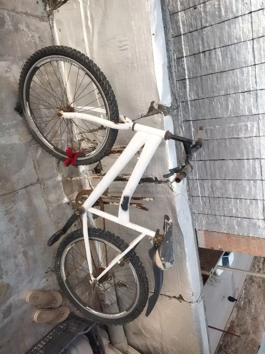 دوچرخه سایز ۲۴|دوچرخه، اسکیت، اسکوتر|کلاله, |دیوار