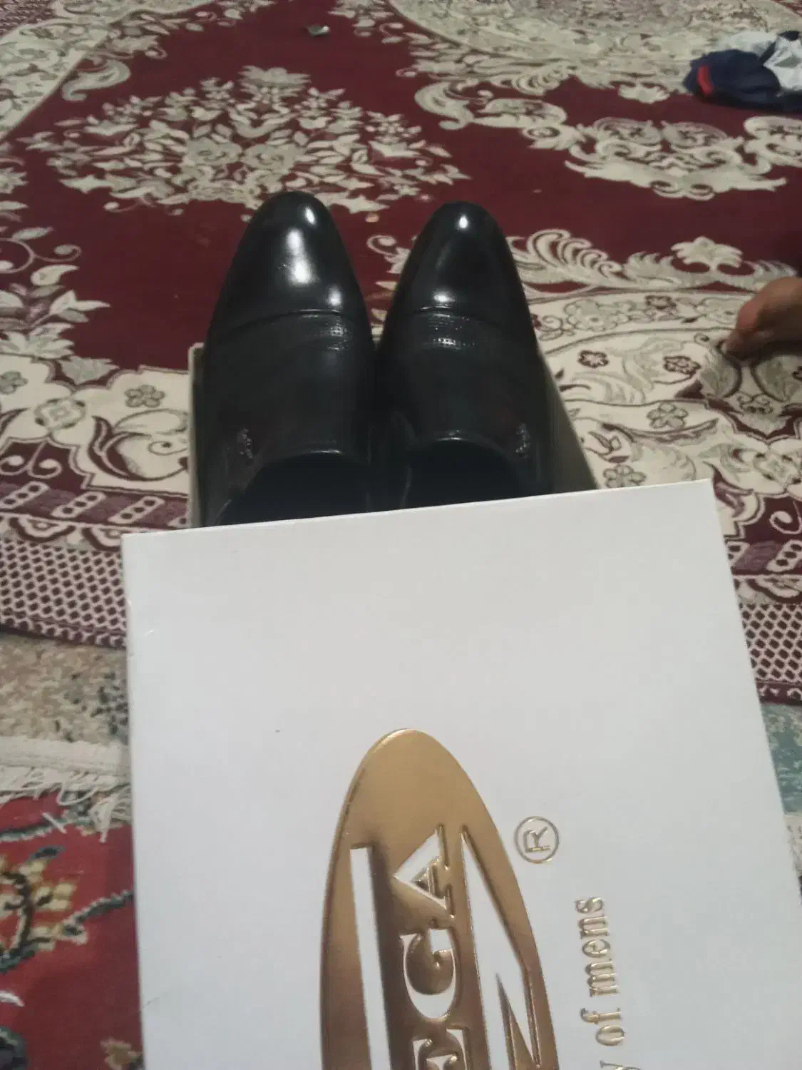 کفش|کیف، کفش، کمربند|اهواز, کارون|دیوار