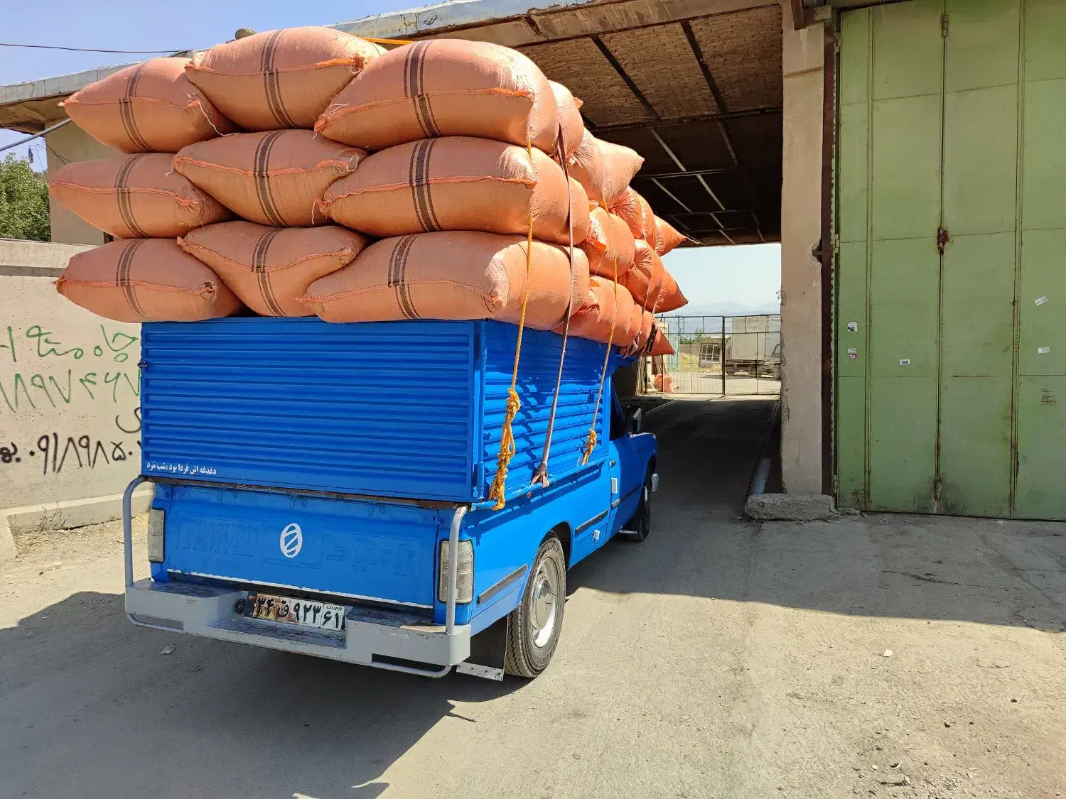 یونجه درجه یک|خدمات باغبانی و درختکاری|کامیاران, |دیوار