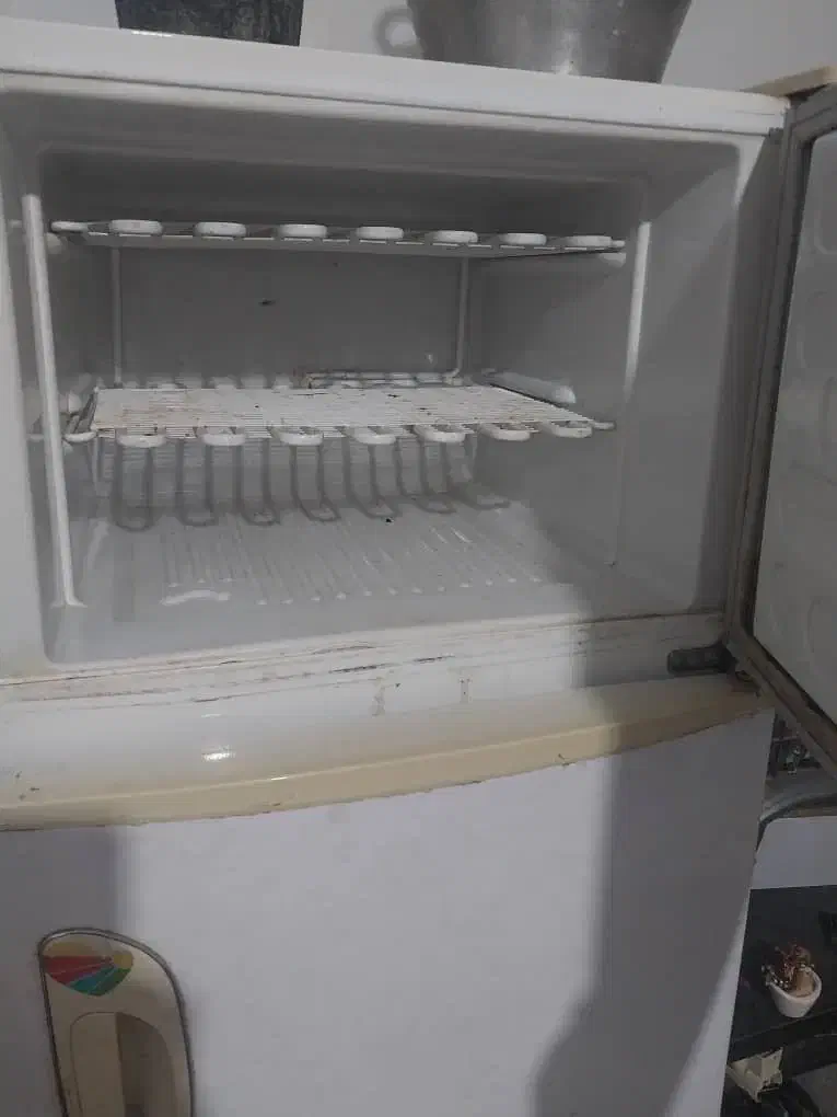 یخچال|یخچال و فریزر|ساری, |دیوار