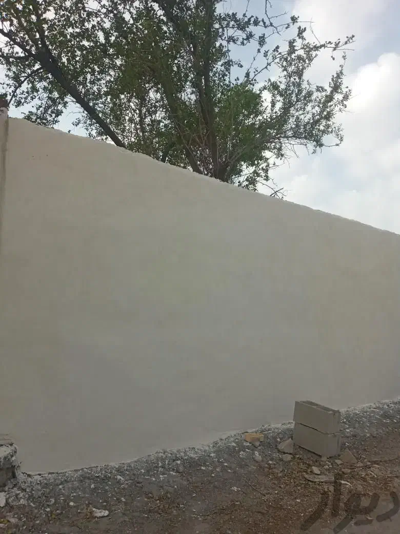 پلاستر وسیمان سفید شیبندی درجه یک|خدمات پیشه و مهارت|شادگان, |دیوار