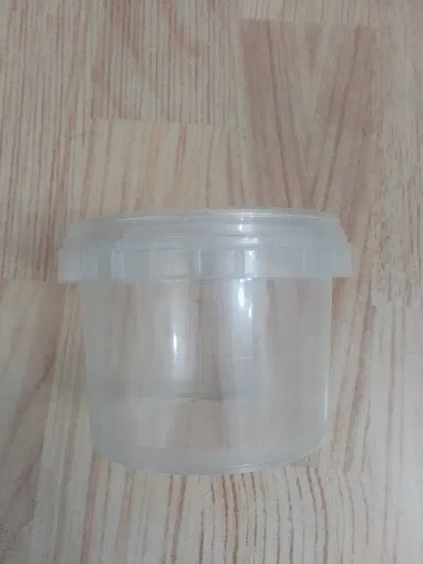 ظرف پلاستیکی درب دار|ظروف نگهدارنده، پلاستیکی، یک‌بارمصرف|لاهیجان, لیالستان|دیوار