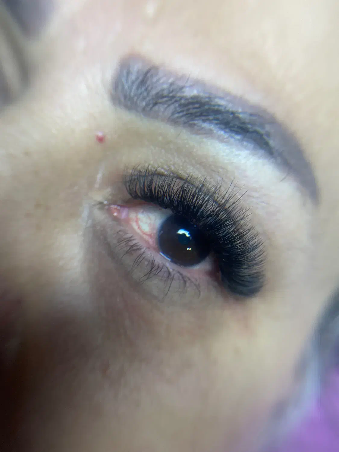 خدمات مژه|خدمات آرایشگری و زیبایی|هشتگرد, شهرک ولیعصر (مصلی)|دیوار